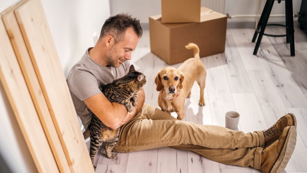 Umzug mit Hund und Katze: Mit diesen Tipps zügeln Sie entspannter!